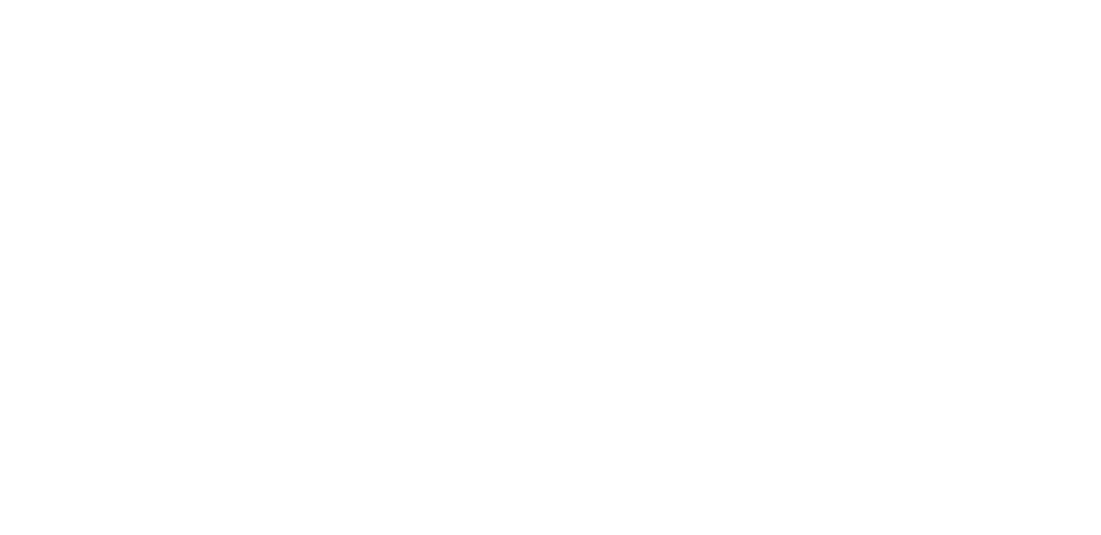 Dr. Davi Mognato Logo Footer